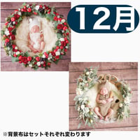 返送料別途負担【12月予定日の方事前予約枠】白雪姫風リース＆2wayスワッグ〈NB〉