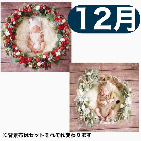返送料別途負担【12月予定日の方事前予約枠】白雪姫風リース＆2wayスワッグ〈NB〉