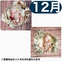 返送料別途負担【12月予定日の方事前予約枠】ココアグラス＆2wayスワッグ〈NB〉