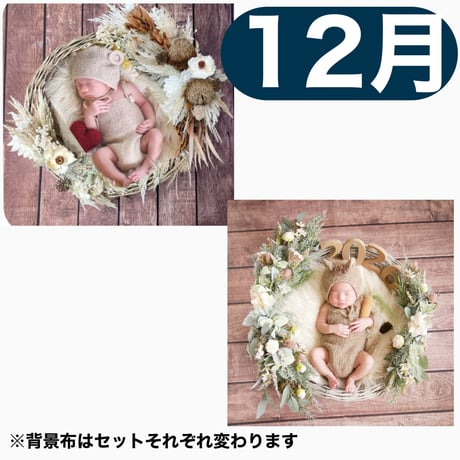 返送料別途負担【12月予定日の方事前予約枠】ココアグラス＆2wayスワッグ〈NB〉