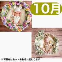 返送料別途負担【10月予定日の方事前予約枠】ラプンツェル風リース＆2wayスワッグ〈NB〉