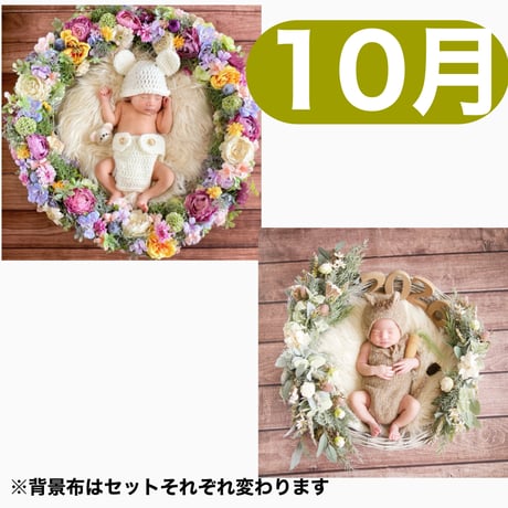 返送料別途負担【10月予定日の方事前予約枠】ラプンツェル風リース＆2wayスワッグ〈NB〉