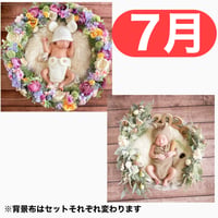 返送料別途負担【7月予定日の方事前予約枠】ラプンツェル風リース＆2wayスワッグ〈NB〉