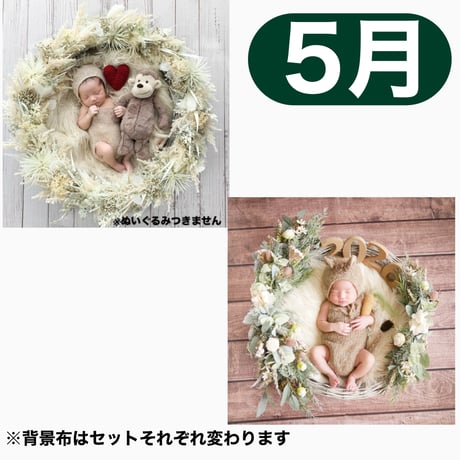 返送料別途負担【5月予定日の方事前予約】パンパスホワイトリース ＆2wayスワッグ〈NB〉