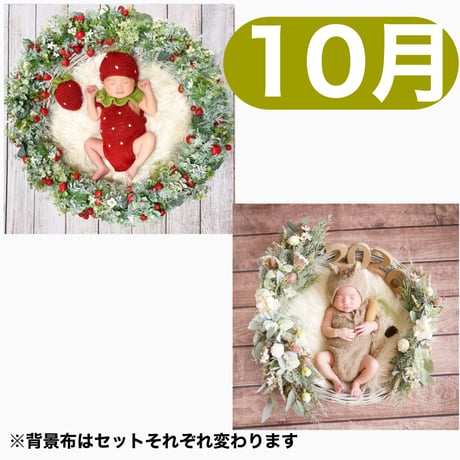 返送料別途負担【10月予定日の方事前予約枠】いちご衣装のいちごベリーリース＆2wayスワッグ〈NB〉