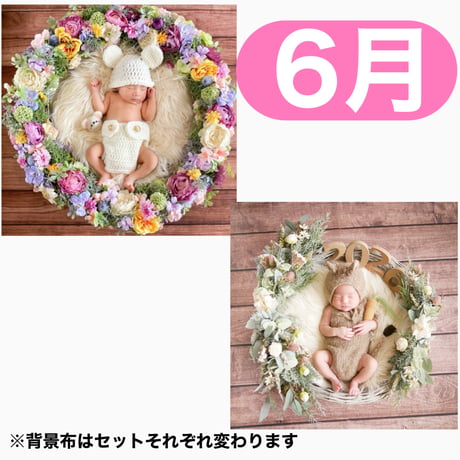 返送料別途負担【6月予定日の方事前予約枠】ラプンツェル風リース＆2wayスワッグ〈NB〉