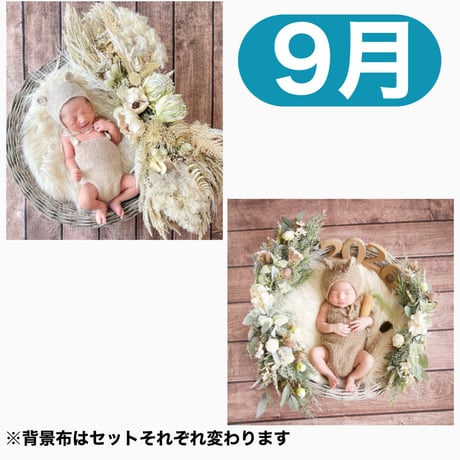 返送料別途負担【9月予定日の方事前予約枠】ホワイトドライスワッグ＆2wayスワッグ〈NB〉