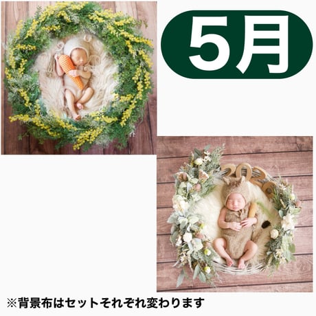返送料別途負担【5月予定日の方事前予約枠】着せ替えミモザリース ＆2wayスワッグ〈NB〉