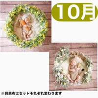 返送料別途負担【10月予定日の方事前予約枠】ミモザリース ＆2wayスワッグ〈NB〉