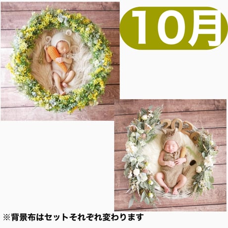 返送料別途負担【10月予定日の方事前予約枠】ミモザリース ＆2wayスワッグ〈NB〉