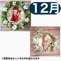 返送料別途負担【12月予定日の方事前予約枠】着せ替えホワイトポインセチアリース&2wayスワッグ〈NB〉