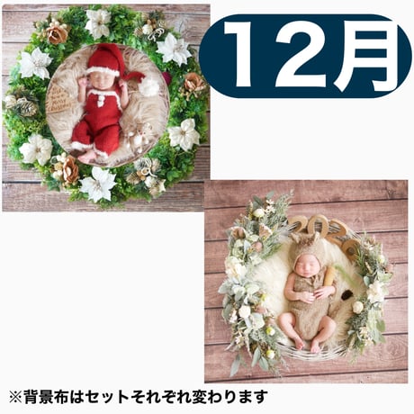 返送料別途負担【12月予定日の方事前予約枠】着せ替えホワイトポインセチアリース&2wayスワッグ〈NB〉