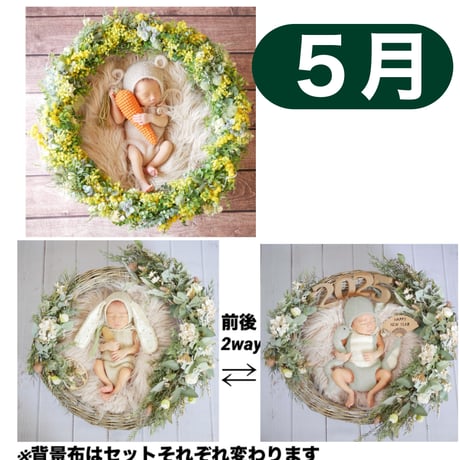 ニューボーンフォト・記念日フォト撮影グッズレンタル/Birth Wreath ニューボーンフォト・記念日フォト撮影グッズレンタル/Birth Wreath