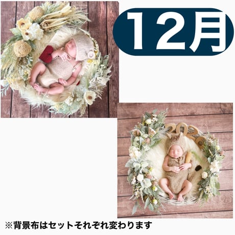 返送料別途負担【12月予定日の方事前予約枠】ミントグラス＆2wayスワッグ〈NB〉