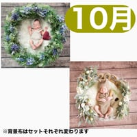 返送料別途負担【10月予定日の方事前予約枠】着せ替えラベンダーリース＆2wayスワッグ〈NB〉