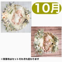 返送料別途負担【10月予定日の方事前予約枠】ブルーホワイトスワッグ＆2wayスワッグ〈NB〉