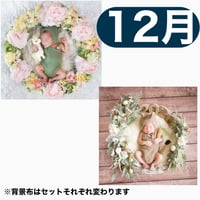 返送料別途負担【12月予定日の方事前予約枠】ユニコーンのパステルフラワーリース ＆2wayスワッグ〈NB〉
