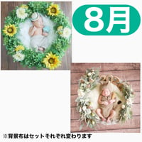 返送料別途負担【8月予定日の方事前予約枠】着せ替えひまわりリース＆2wayスワッグ〈NB〉