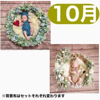 返送料別途負担【10月予定日の方事前予約枠】ブルーグレーリース ＆2wayスワッグ〈NB〉
