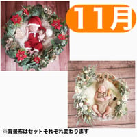 返送料別途負担【11月予定日の方事前予約枠】ポインセチアリース&2wayスワッグ〈NB〉