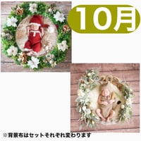 返送料別途負担【10月予定日の方事前予約枠】着せ替えホワイトポインセチアリース&2wayスワッグ〈NB〉