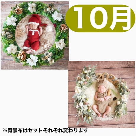 返送料別途負担【10月予定日の方事前予約枠】着せ替えホワイトポインセチアリース&2wayスワッグ〈NB〉
