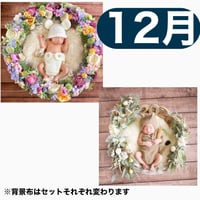 返送料別途負担【12月予定日の方事前予約枠】ラプンツェル風リース＆2wayスワッグ〈NB〉