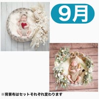 返送料別途負担【9月予定日の方事前予約枠】ペールホワイトスワッグ＆2wayスワッグ〈NB〉