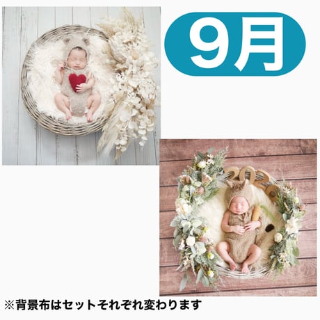 返送料別途負担【9月予定日の方事前予約枠】ペールホワイトスワッグ＆2wayスワッグ〈NB〉