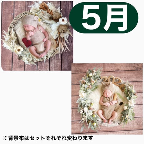 返送料別途負担【5月予定日の方事前予約枠】ココアグラススワッグ＆2wayスワッグ〈NB〉