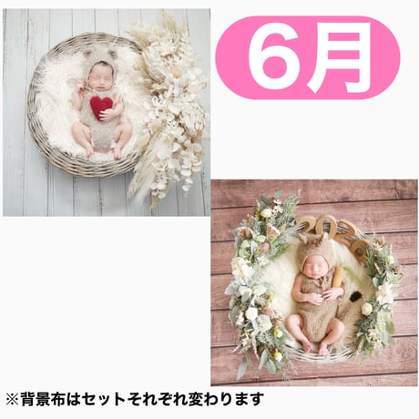 返送料別途負担【6月予定日の方事前予約枠】ペールホワイトスワッグ＆2wayスワッグ〈NB〉