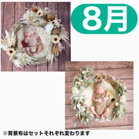返送料別途負担【8月予定日の方事前予約枠】ドライサンフラワー＆2wayスワッグ〈NB〉