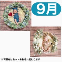 返送料別途負担【9月予定日の方事前予約枠】ブルーグレーリース ＆2wayスワッグ〈NB〉
