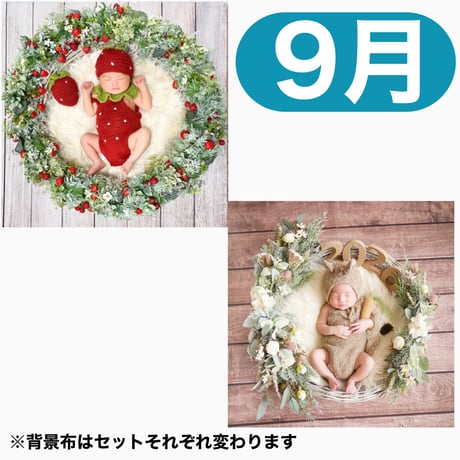返送料別途負担【9月予定日の方事前予約枠】いちご衣装のいちごベリーリース＆2wayスワッグ〈NB〉