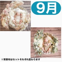 返送料別途負担【9月予定日の方事前予約枠】スモーキーオレンジスワッグ＆2wayスワッグ〈NB〉