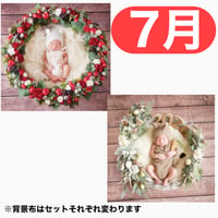 返送料別途負担【7月予定日の方事前予約枠】白雪姫風リース＆2wayスワッグ〈NB〉