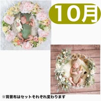 返送料別途負担【10月予定日の方事前予約枠】ユニコーンのパステルフラワーリース ＆2wayスワッグ〈NB〉