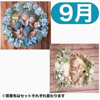 返送料別途負担【9月予定日の方事前予約枠】アンティークアジサイリース ＆2wayスワッグ〈NB〉