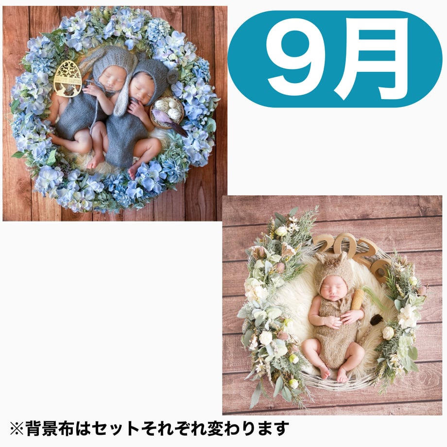 6a067d2fa26946a3549629ed