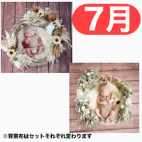 返送料別途負担【7月予定日の方事前予約枠】ドライサンフラワー＆2wayスワッグ〈NB〉