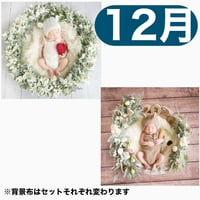 返送料別途負担【12月予定日の方事前予約枠】フランネルシャビーリース＆2wayスワッグ〈NB〉