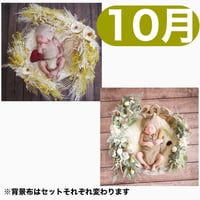 返送料別途負担【10月予定日の方事前予約枠】ホワイトミモザスワッグ＆2wayスワッグ〈NB〉