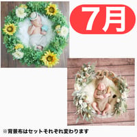 返送料別途負担【7月予定日の方事前予約枠】着せ替えひまわりリース＆2wayスワッグ〈NB〉