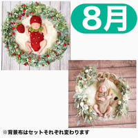 返送料別途負担【8月予定日の方事前予約枠】いちご衣装のいちごベリーリース＆2wayスワッグ〈NB〉