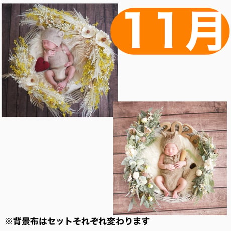 返送料別途負担【11月予定日の方事前予約枠】ホワイトミモザスワッグ＆2wayスワッグ〈NB〉