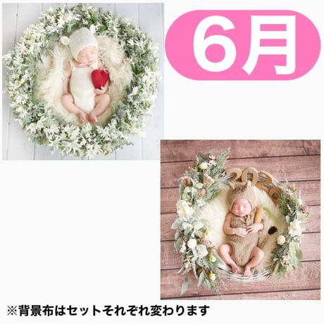 返送料別途負担【6月予定日の方事前予約枠】フランネルシャビーリース＆2wayスワッグ〈NB〉