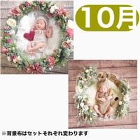 返送料別途負担【10月予定日の方事前予約枠】くすみアンティークのリース ＆2wayスワッグ〈NB〉