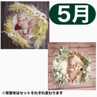 返送料別途負担【5月予定日の方事前予約枠】ホワイトミモザスワッグ＆2wayスワッグ〈NB〉