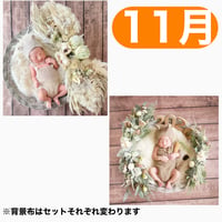 返送料別途負担【11月予定日の方事前予約枠】ホワイトドライスワッグ＆2wayスワッグ〈NB〉