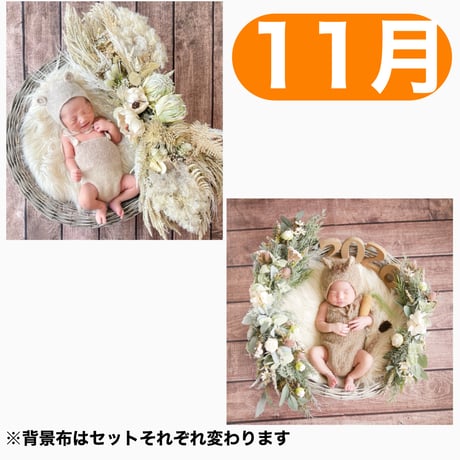 返送料別途負担【11月予定日の方事前予約枠】ホワイトドライスワッグ＆2wayスワッグ〈NB〉
